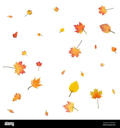 Autumn Background With Golden Autumn Leaves Vector Stock Vector Image