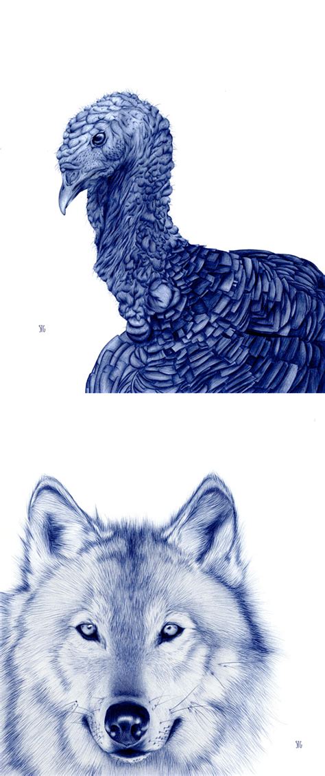 Cool Bic Pen Drawings Of Animals By Sarah Esteje Daily Design