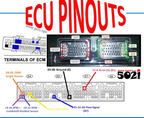 Ecu Pinouts Hapa Ujanja Tu👨🏼‍🎓