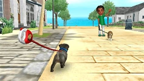 Where Is The Nintendogs Switch Port