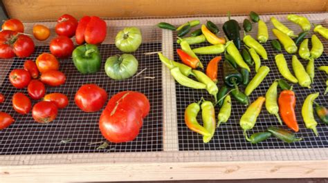 How To Build A Diy Harvest Rack To Ripen Fruits And Vegetables