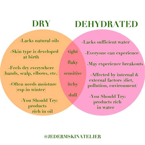 Dehydrated Skin How To Treat And Nourish It — Jederm Skin Atelier