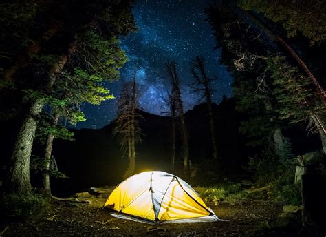 Night Forest Camping