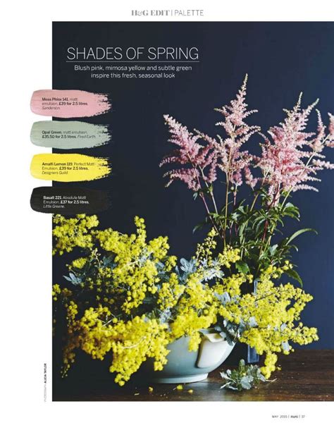 Sanderson Moss Phlox Paint In Homes And Gardens May 2015 Blush Pink