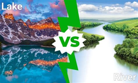 Lake Vs River What Are The Differences A Z Animals