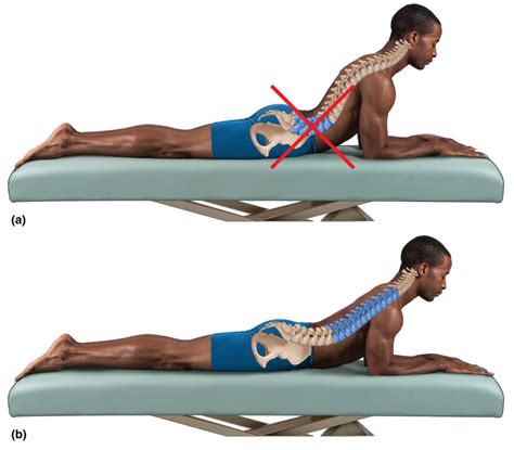 Stretching And Strengthening The Spinal Curves