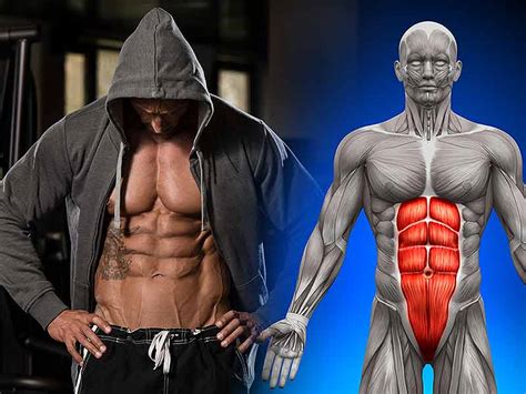 Also, even if you're not looking for the perfect six pack, abdominal training can improve your overall fitness by strengthening your core. How To Get Six Pack Abs Without Pain - lifealth