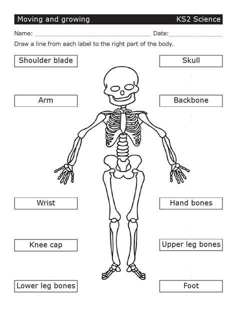 Download and print my free printable worksheets. Free Ks2 Worksheets | K5 Worksheets