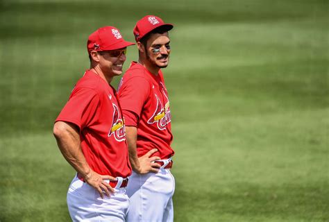 St. Louis Cardinals fans excited at seeing Paul Goldschmidt and Nolan