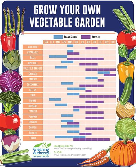 When To Plant And Harvest Vegetables