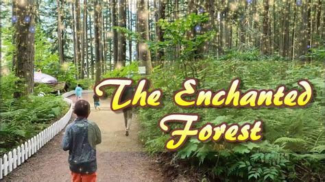 The Enchanted Forest In Revelstoke Bc Youtube