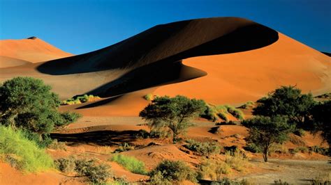 Namibie Désert De Namib