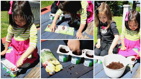 Kids Garden Activity Reuse Yogurt Cups To Plant Organic Seeds
