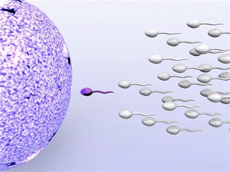 First Male Contraceptive Injection Is Effective At Blocking Sperm