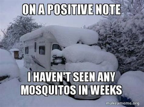 Wordless Wednesday Funny Winter Memes Ww Moms Own Words