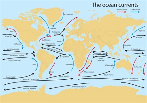 Ocean Current Worldmap Vector Ocean Current Types Of Ocean Ocean