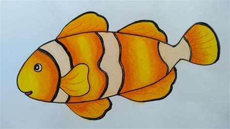 Menggambar Ikan Nemo IMAGESEE