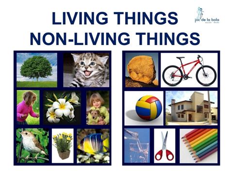 Living Things Non Living Things
