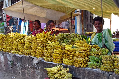 Bunch Of Old Bananas Or Building Materials Of The Future News Eco