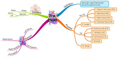 The Heart Mind Map Biggerplate