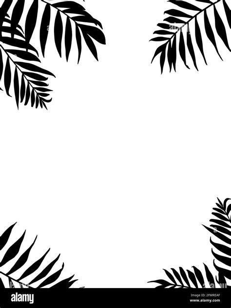 palm leaves frame tropic plants branches silhouettes black borders isolated vector banner