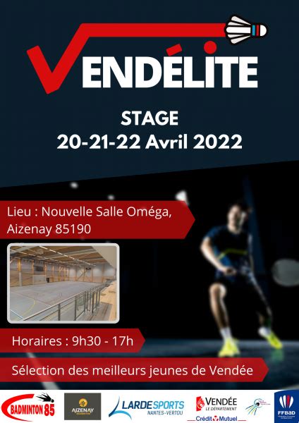 stage vendelite comite de vendee de badminton