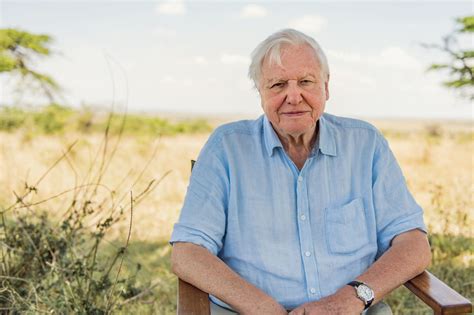 Sir David Attenborough We Can Save Our Ecosystems But I May Not Be