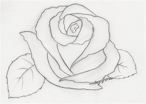 Easy Rose Drawing Tumblr The Hippest Pics