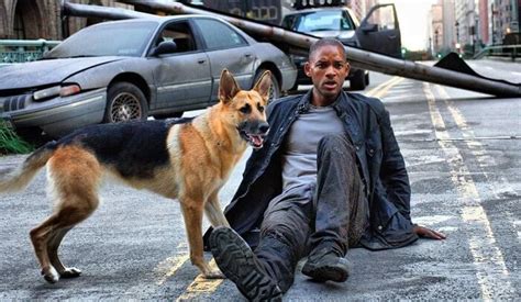 For famous dogs from fiction, see list of fictional dogs. 100+ Famous Dog Names from Movies | Фильмы, Легенды, Уилл смит