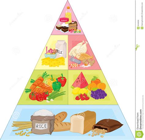 66 Food Pyramid Royalt Food Pyramid Clipart Clipartlook