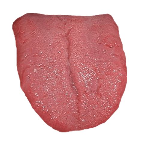 Tongue Png Picture Png Mart