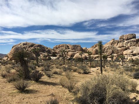A Weekend At Joshua Tree National Park The Open Road Less Traveled