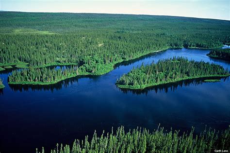 Canadas Boreal Forest The Year In Review The Pew Charitable Trusts