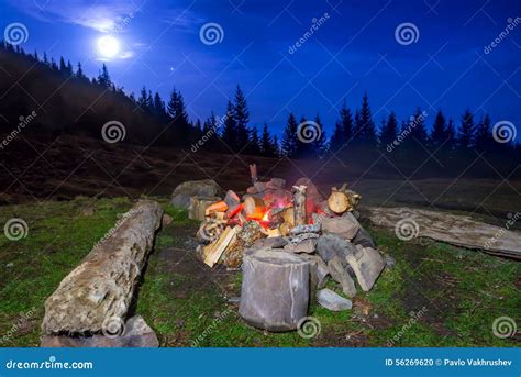 Campfire In The Night Forest Stock Photo Image Of Romantic Fire