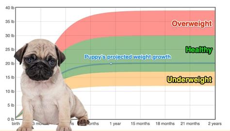 Pug Weightgrowth Chart 2022 How Heavy Will My Pug Weigh The Goody Pet
