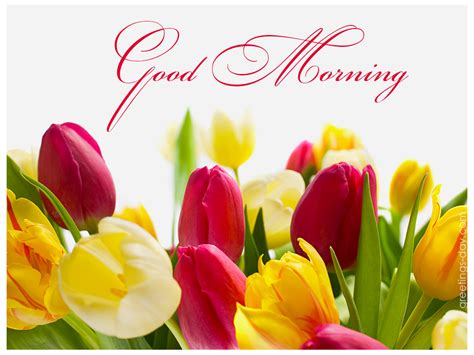 Good Morning Best Ecards Photos And Wishes ⋆ Everyday Greetings Good