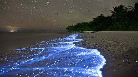 This Glowing Beach May Be The Most Magical Place On Earth Narcity