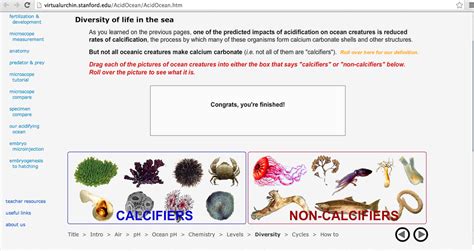 Virtual Urchin Lab Marine Sciencee