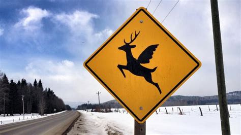 Funny Road Signs From Around The World Au