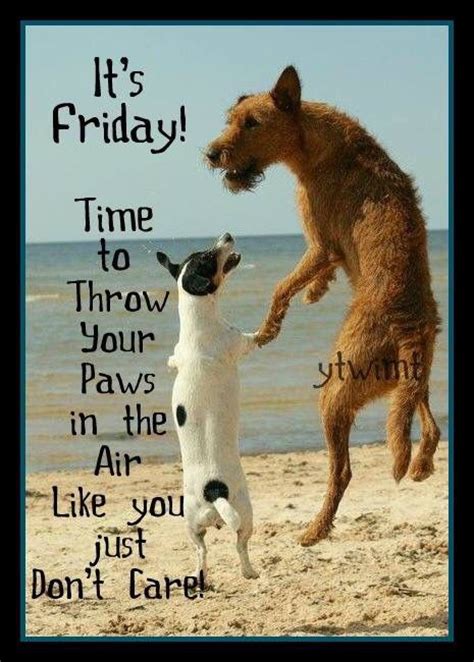 Its Friday Throw Your Paws Up Its Friday Quotes Funny Good Morning