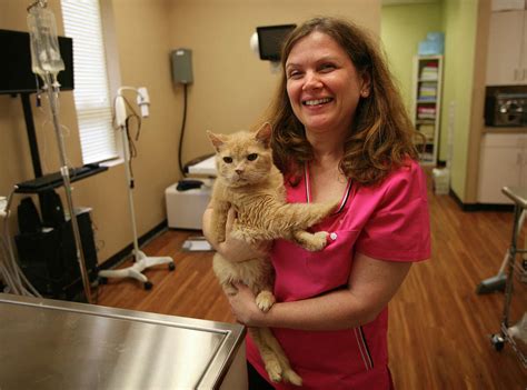 dr katz opens clinic to treat cats like royality