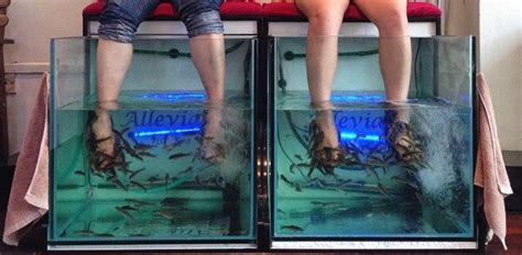 5 Fish Spas In Singapore From 10 To Shed Dead Skin And Overcome Your