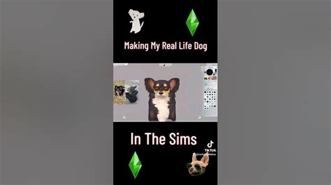 Making My Real Life Dog In The Sims Youtube