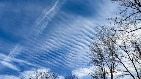 Undulatus Cloud Variety Wavelike Undulating Whatsthiscloud