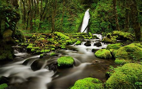 Paisagem Beautiful Old Mill Clear Mountain River Rocks With Green Moss