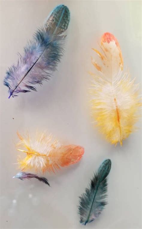 Color Splash Feathers Food Coloring Dye Tutorial Fiber Arts Mixed