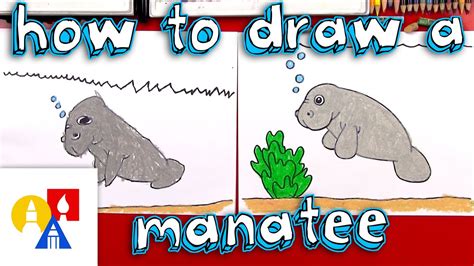 How To Draw A Cartoon Manatee Youtube