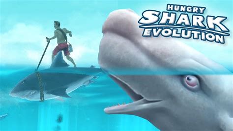 Big Moby Dick Hungry Shark Evolution Ep 29 Hd Youtube