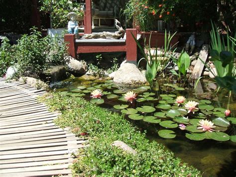 Create A Backyard Sanctuary With Japanese Water Features The Pond Gnome