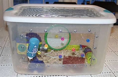 Maybe you would like to learn more about one of these? Make Your Own DIY Hedgehog Cage | Hedgehog cage, Hedgehog pet, Pet mice
